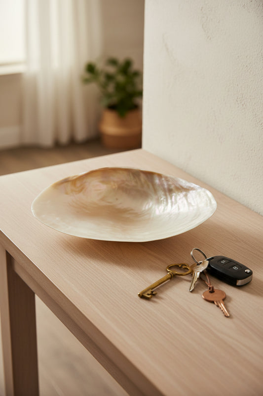 Large Shell Trinket Dish